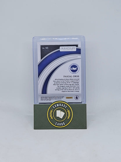 Pascal Grob (Brighton) 11/75 Immaculate 2022-2023