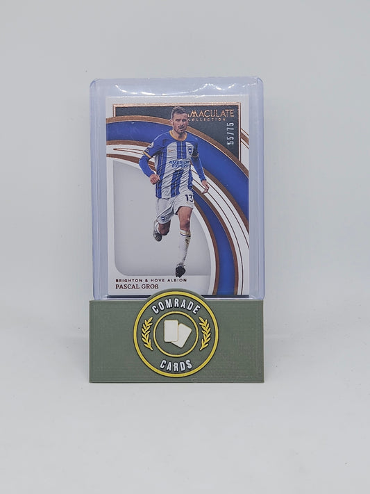 Pascal Grob (Brighton) 55/75 Immaculate 2022-2023