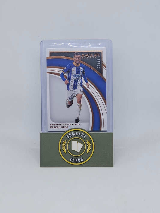Pascal Grob (Brighton) 11/75 Immaculate 2022-2023