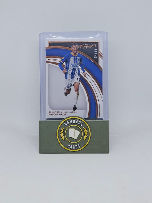 Pascal Grob (Brighton) 64/75 Immaculate 2022-2023